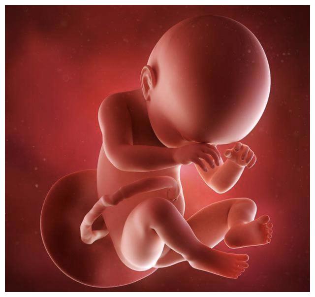 怀孕38周生的宝宝跟40周生的区别大吗,这两周胎儿发育情况如何?