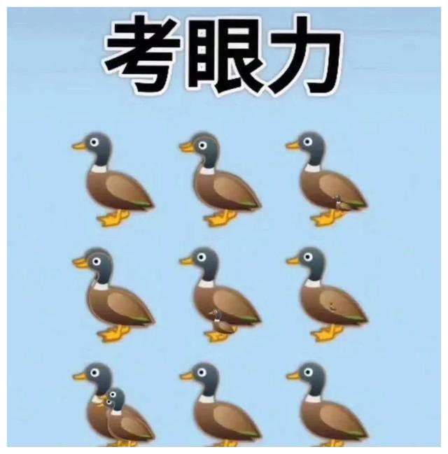 考眼力:你们能看出来图中有几只鸭子吗?__财经头条