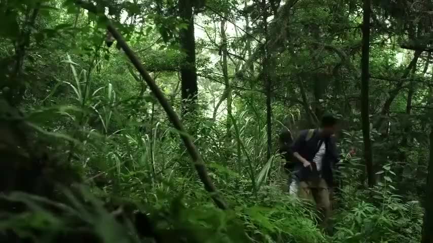 特种兵丛林埋伏国际佣兵!不料一个屁暴露位置,一场恶战瞬间爆发