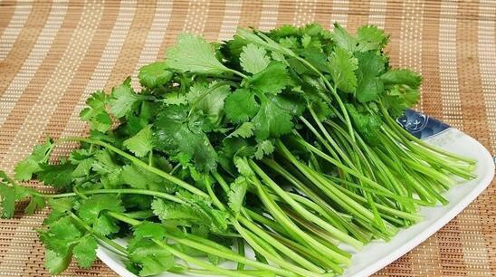 香菜为什么会受到如此大的争议?带你了解不吃香菜的科学依据休闲区蓝鸢梦想 - Www.slyday.coM 香菜为什么会受到如此大的争议?带你了解不吃香菜的科学依据休闲区蓝鸢梦想 - Www.slyday.coM