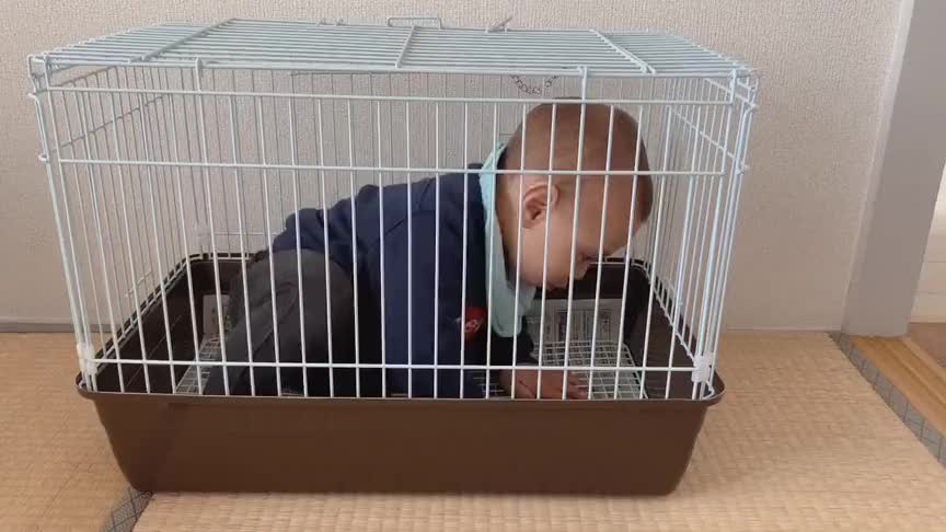 小宝宝钻进笼子里不想出来了,这是有多想要和宠物生活在一起啊!