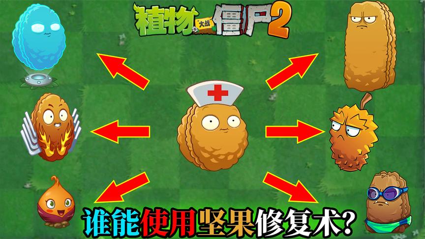pvz2 坚果就一定能使用坚果包扎术吗?