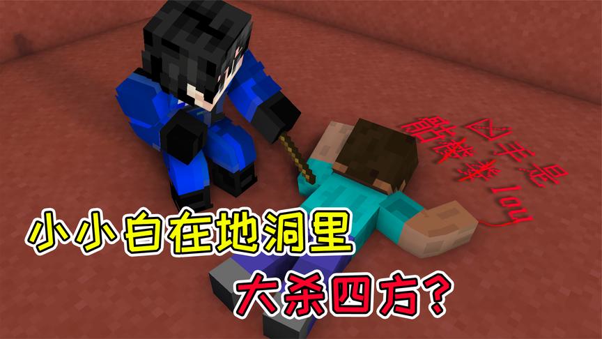 mc流浪者日记39:小小白地洞里大杀四方?流浪者小队三人汇合!