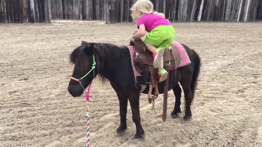 小女孩表演各种上马姿势,小鬃马一动不动全程配合,好可爱
