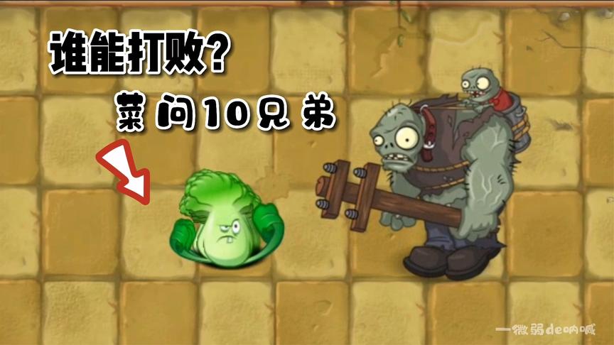植物大战僵尸:七大僵尸挑战10个菜问拳手,谁能成功?