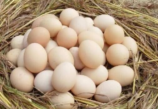 亮晶晶的什么(亮晶晶的什么填空)