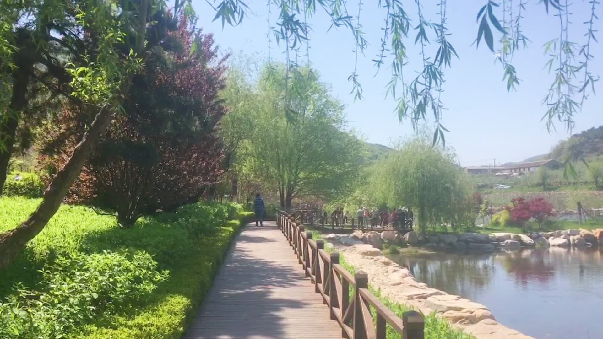 大连长青湖公园