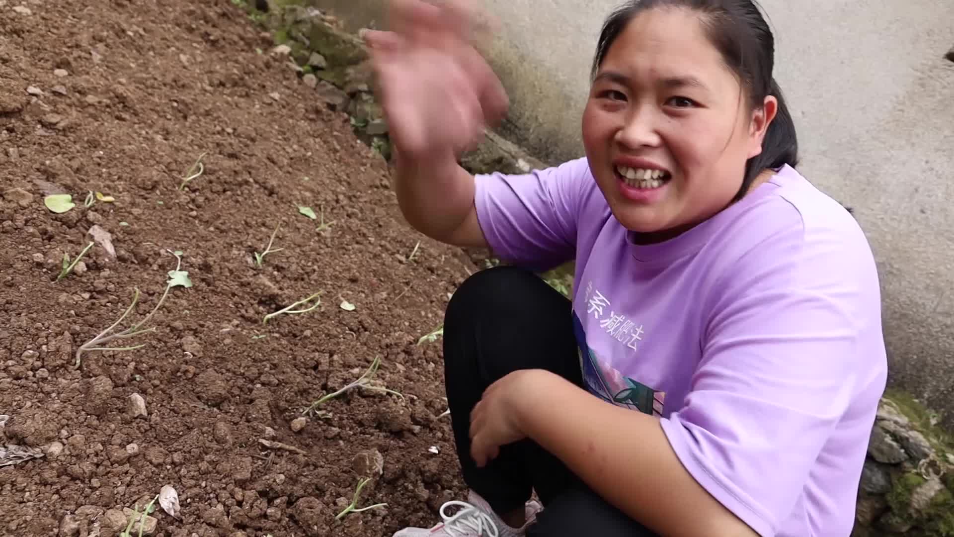 胖妹炖了啥美食大洋笑得合不拢嘴,赶紧用汤汁泡饭,吃起来真香