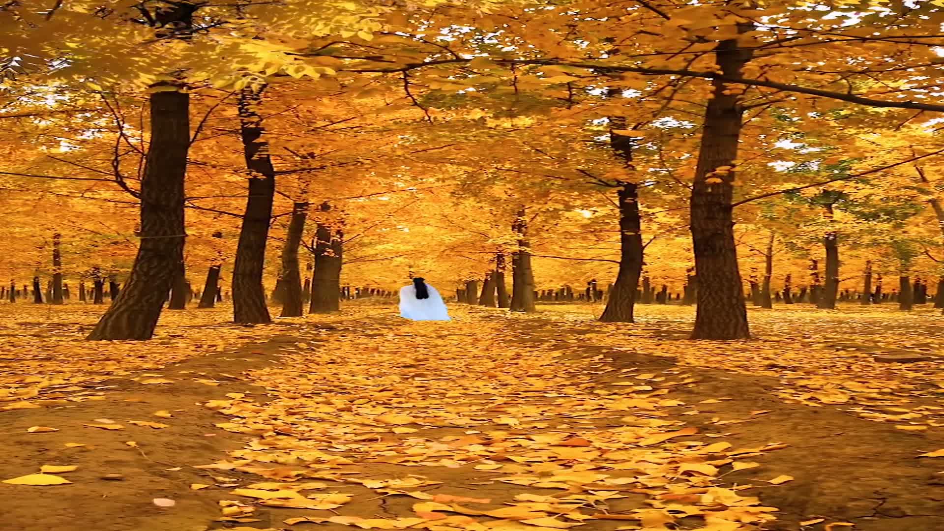 秋风清,秋月明,落叶聚还散__财经头条