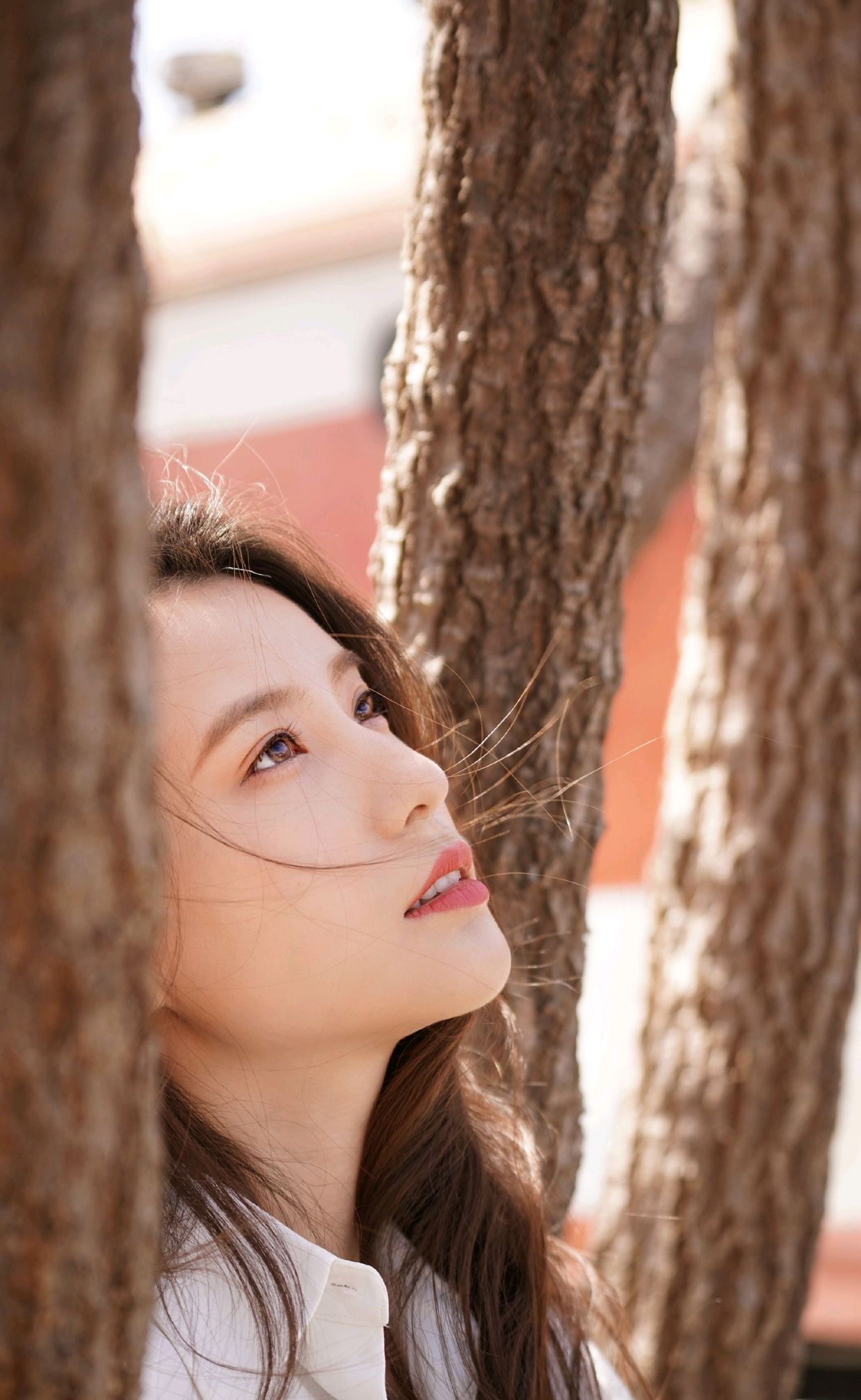 明星写真美图|鲍天琦