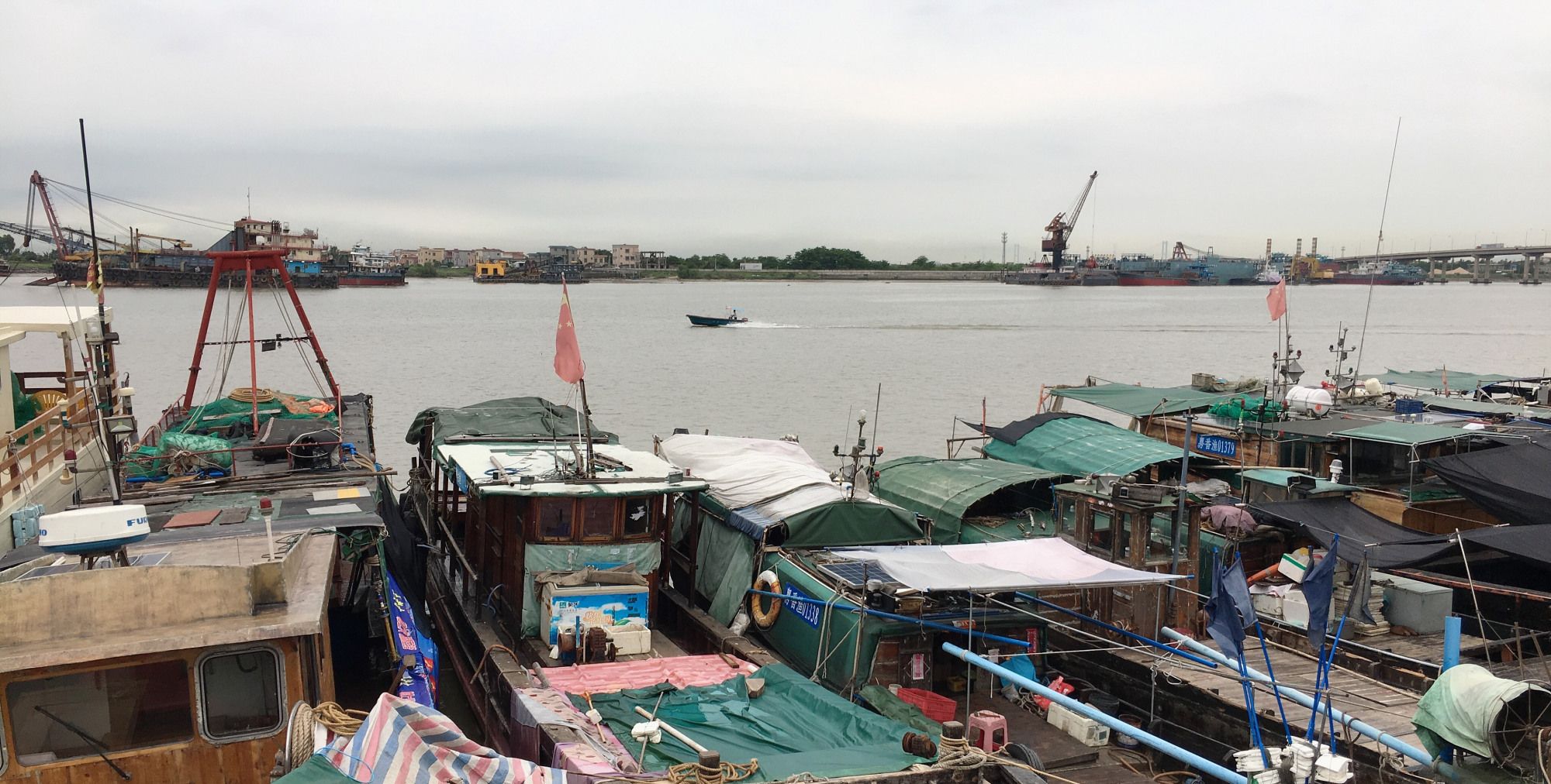 在广州番禺莲花山码头,鱼虾和海鲜比青菜便宜,吃货可以来!