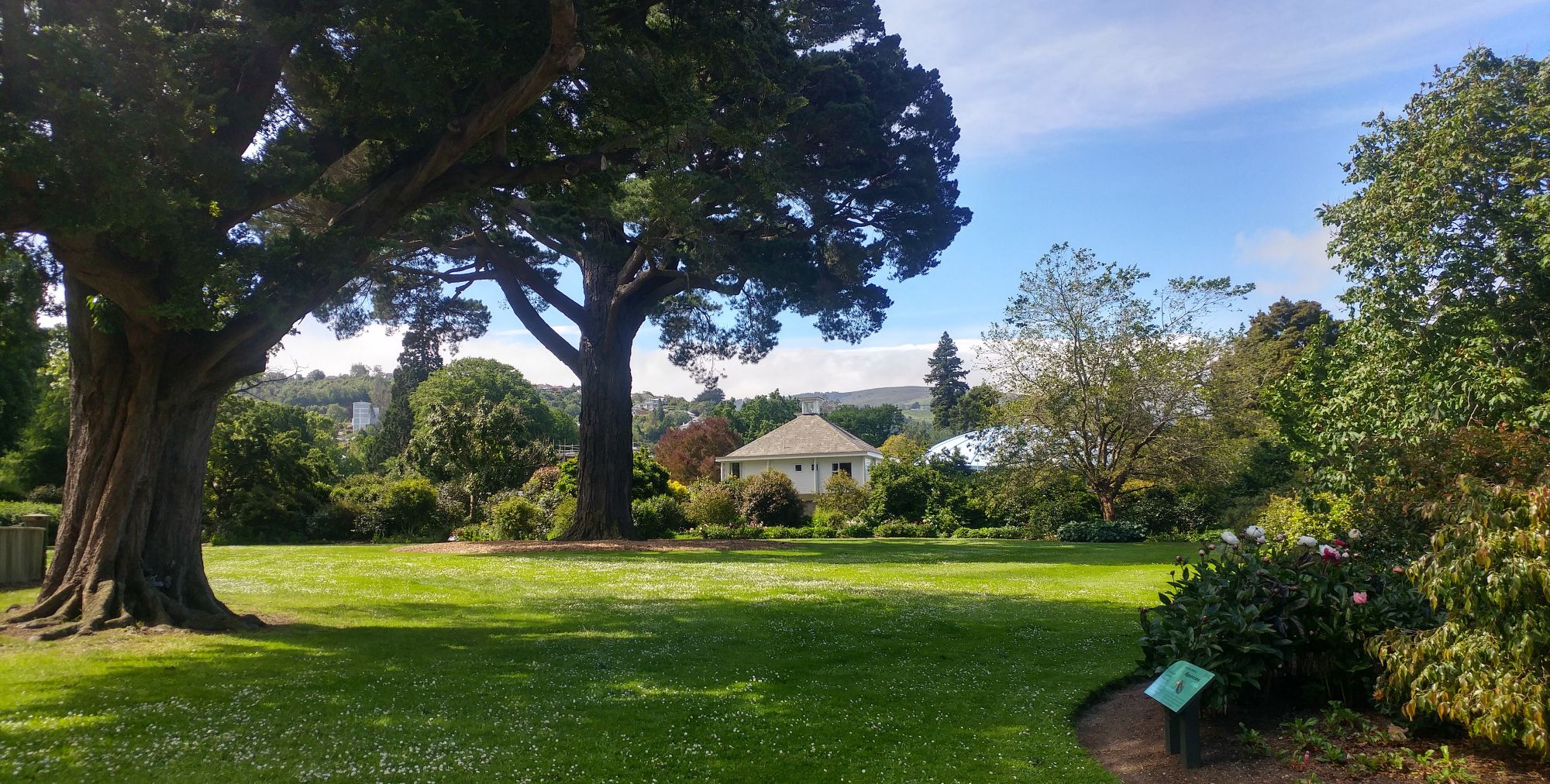 12月的盛夏——澳洲——新西兰——达尼丁植物园__财经头条