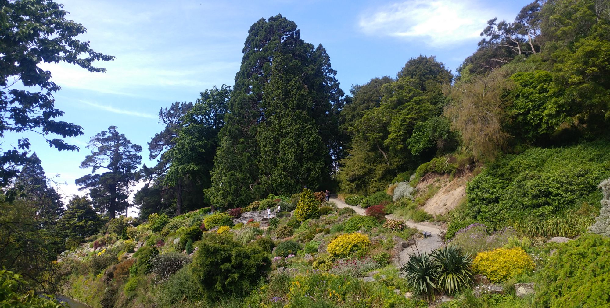 12月的盛夏——澳洲——新西兰——达尼丁植物园__财经头条