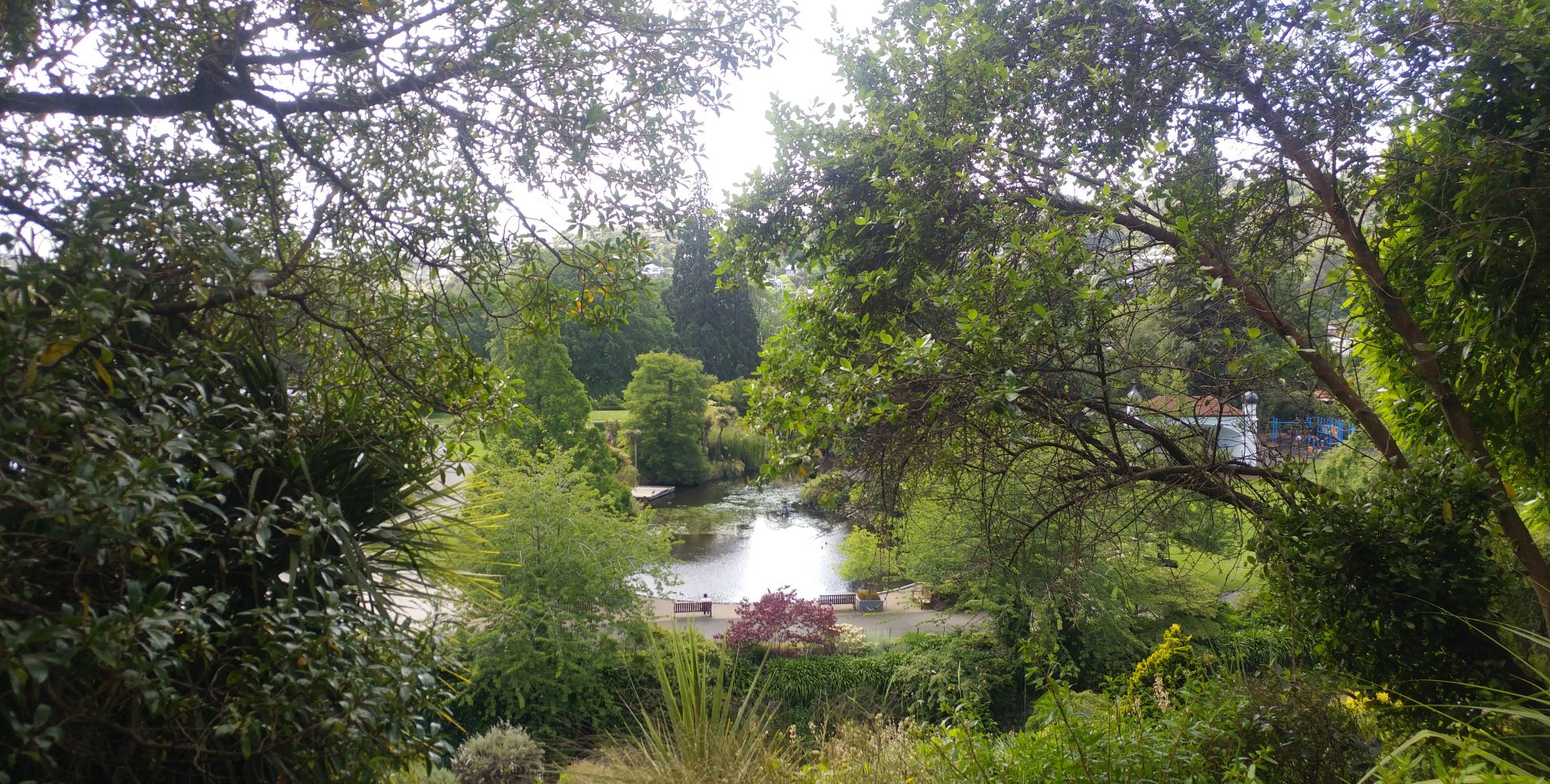 12月的盛夏——澳洲——新西兰——达尼丁植物园__财经头条