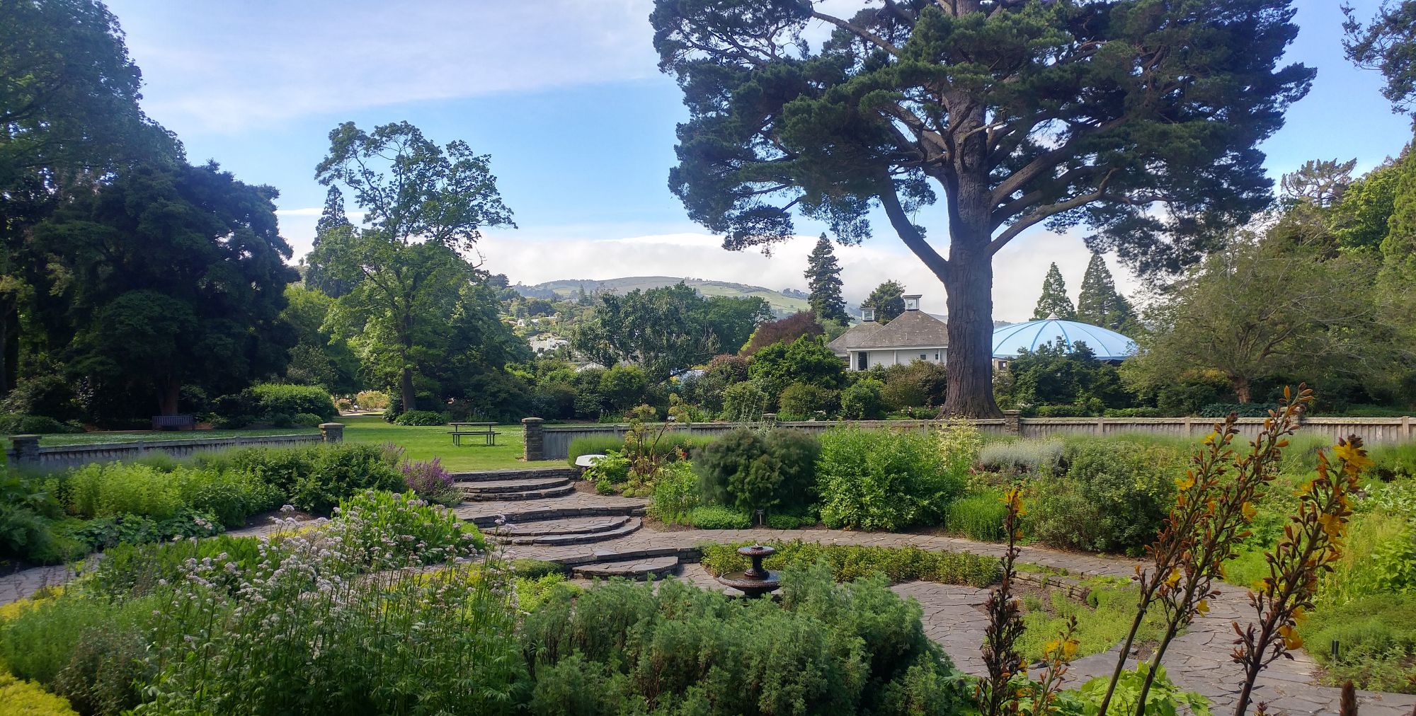 12月的盛夏——澳洲——新西兰——达尼丁植物园__财经头条