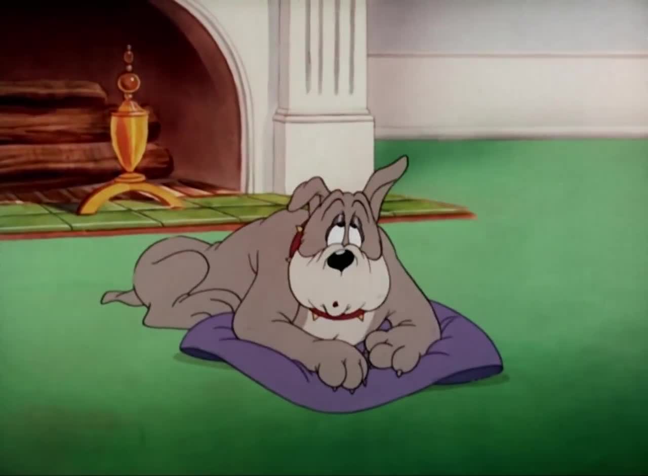 猫和老鼠汤姆欺人太甚这大狗多可怜每次受伤的都是它