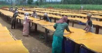 你爱吃的芒果干知道是怎么来的吗?看完制作过程你还会买吗?休闲区蓝鸢梦想 - Www.slyday.coM 你爱吃的芒果干知道是怎么来的吗?看完制作过程你还会买吗?休闲区蓝鸢梦想 - Www.slyday.coM