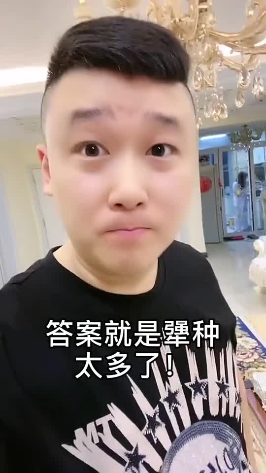 不出特产不出矿竟出犟种满街逛犟种太多了