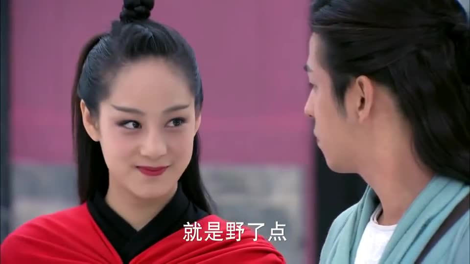 王妃问木婉清:修罗刀秦红棉是你什么人木婉清不认识