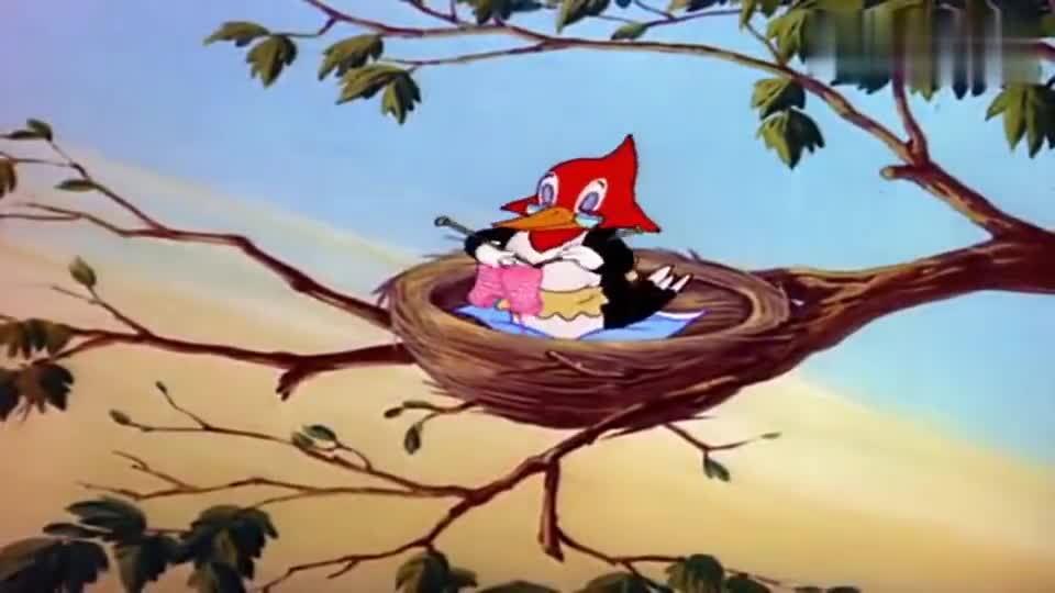 猫和老鼠:鸟妈妈不在家,鸟蛋掉出窝,破壳而出的小鸟把杰瑞当妈