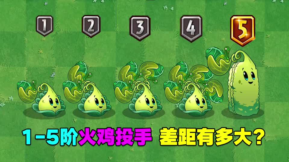 pvz2测试15阶火鸡投手差距有多大2021再见啦