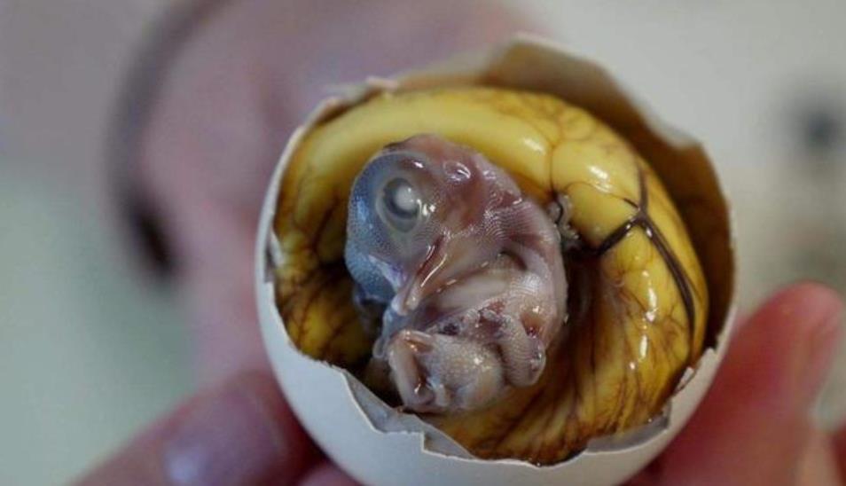 5种看见就让人反胃的食物,吃过2种算厉害,网友:早饭白吃了