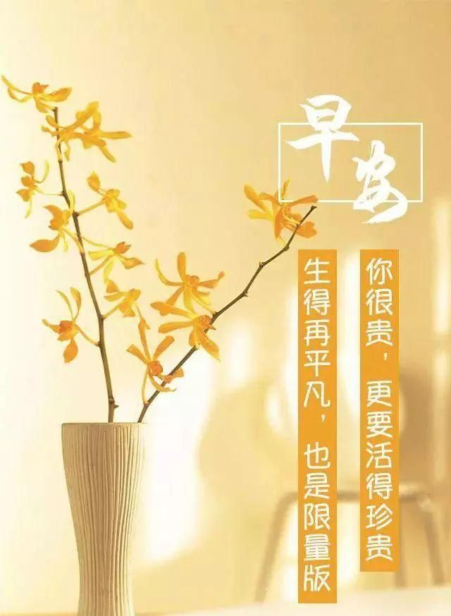 周二早安励志句子图片：偷偷的努力,希望自己也能成为别人的梦想__财经头条