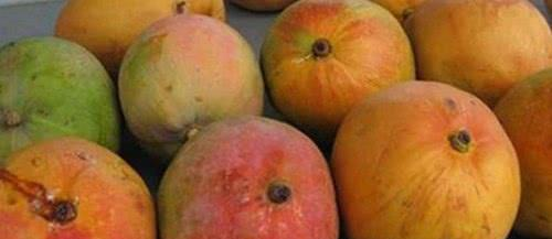 这4种水果都比车厘子贵，图1一盘要31万，吃过的土豪请和我做朋友休闲区蓝鸢梦想 - Www.slyday.coM