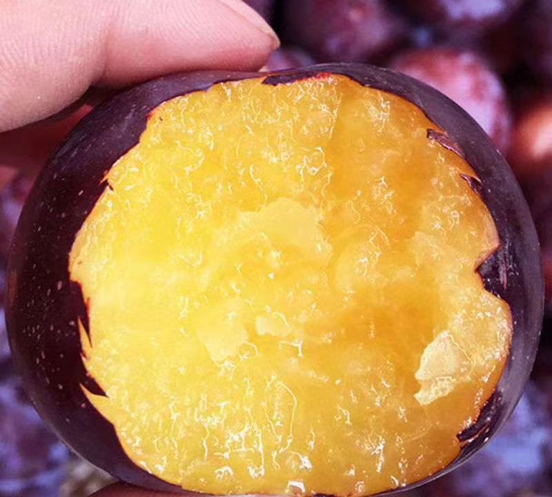 果农数万斤黑巨李愁销路,盼低价收购