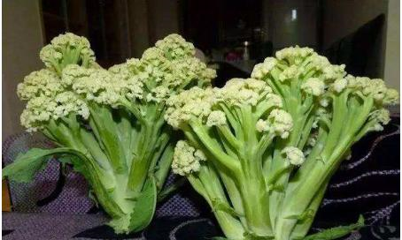 卖菜大妈:区别可大!挑错了吃不顺口|花菜|散花|可大_新浪新闻