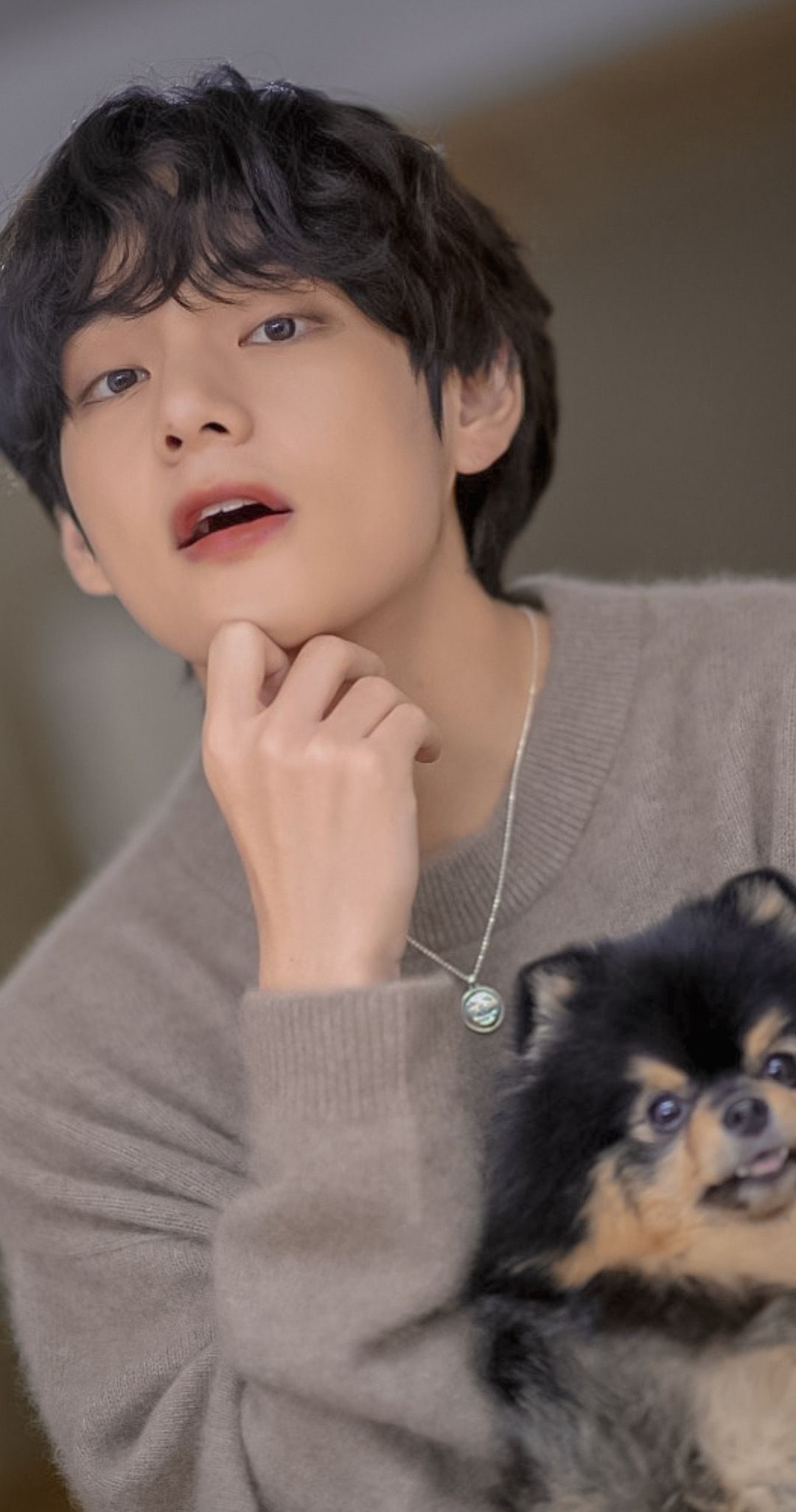 青春学长?防弹少年团金泰亨让你欲罢不能的绝美壁纸!