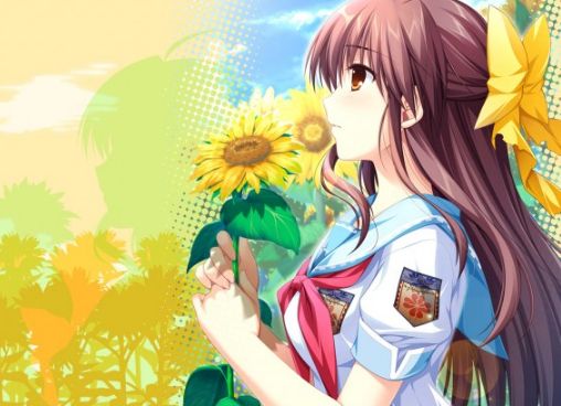 车轮之国向日葵的少女动漫桌面壁纸 你会喜欢吗