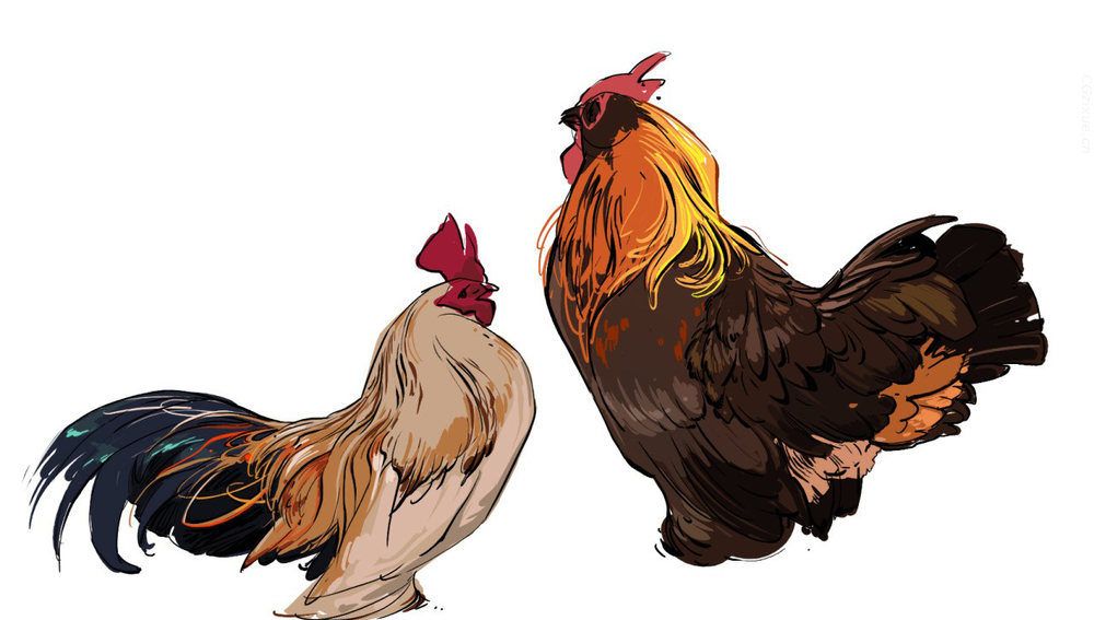 动物画法插画宝典:飞禽走兽研究与设定,形神兼备,速度码