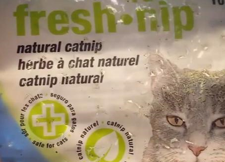 猫大麻全被嗑光 妈扭头见 凶手 一脸爽翻天 啊 好爽
