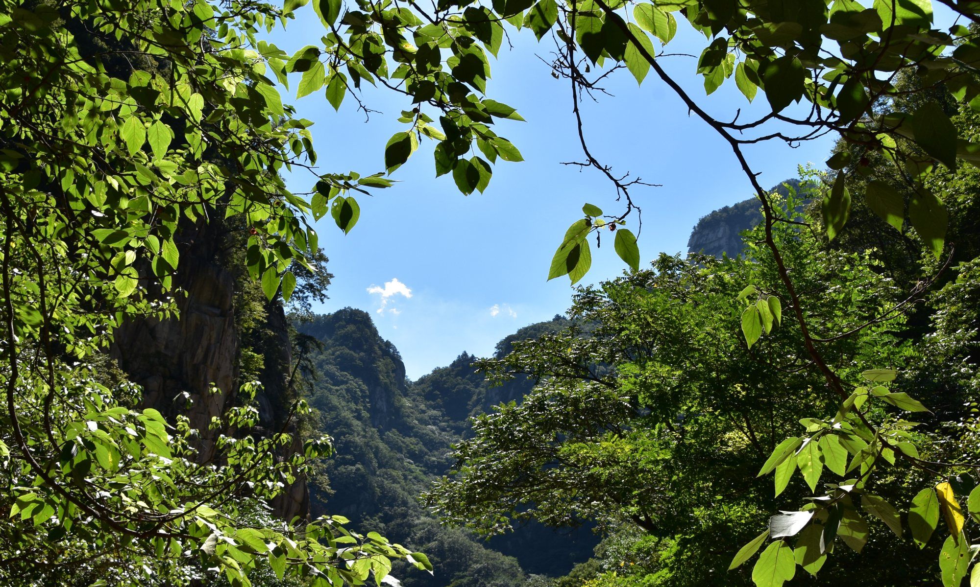 尧山大峡谷随拍记