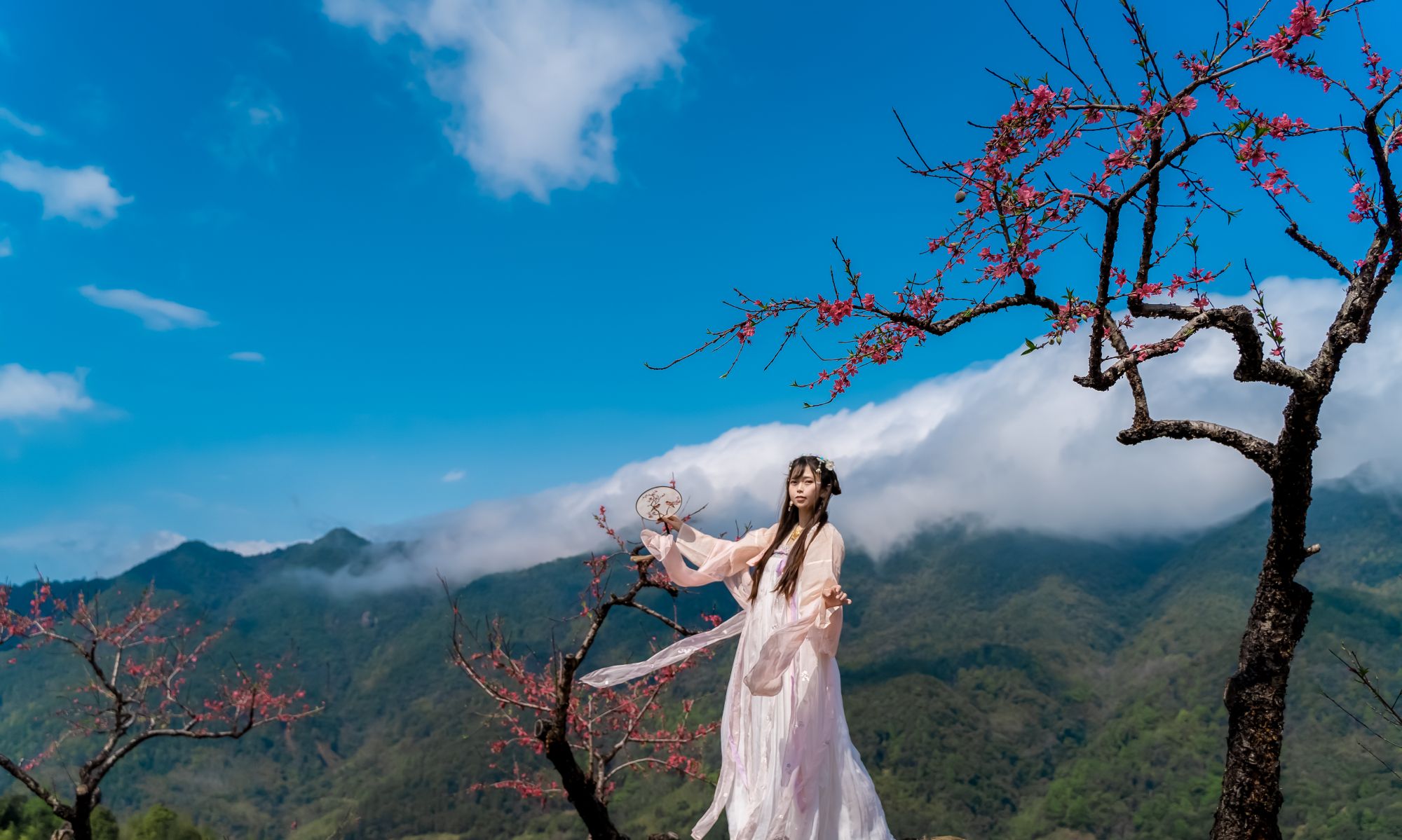 桃花开了,春天来了_高清图集_新浪网