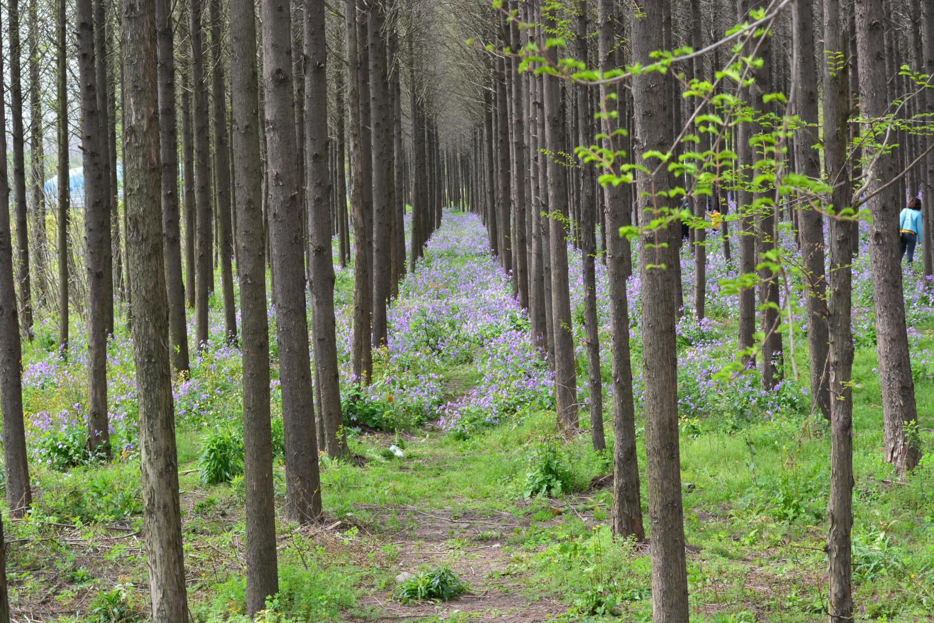 什么是修养涵养的区别 素养和修养的不同表现