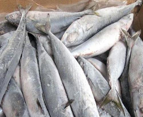 解冻冰鱼时直接用水泡的鱼难吃教你这几招鱼肉就像鲜鱼一样