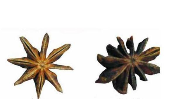 怎么辨别八角的真假是很重要的教你3招就能辨别