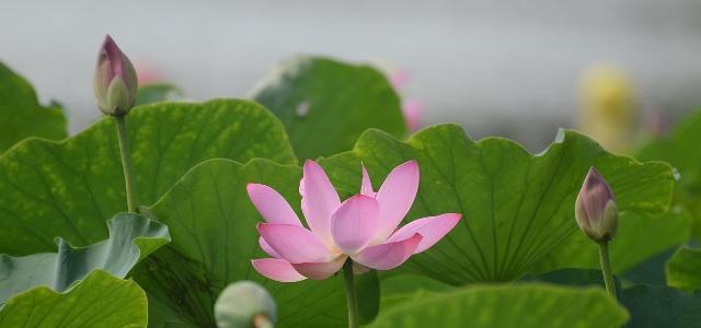 不要小瞧身边“不合群”的人，他们往往未来有大本事休闲区蓝鸢梦想 - Www.slyday.coM