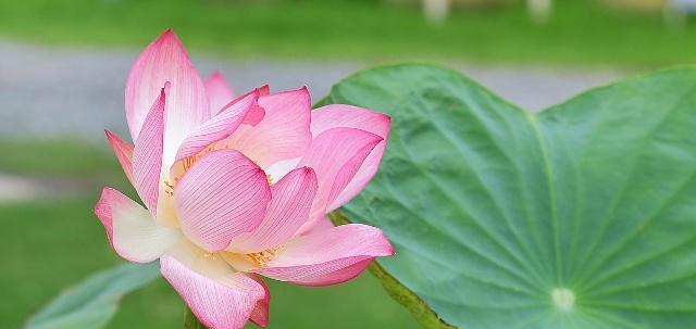 不要小瞧身边“不合群”的人，他们往往未来有大本事休闲区蓝鸢梦想 - Www.slyday.coM