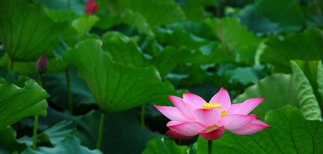 不要小瞧身边“不合群”的人，他们往往未来有大本事休闲区蓝鸢梦想 - Www.slyday.coM