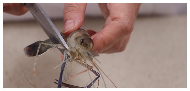 这虾再不吃就要等一年遇到了别手软教你新做法别不懂吃