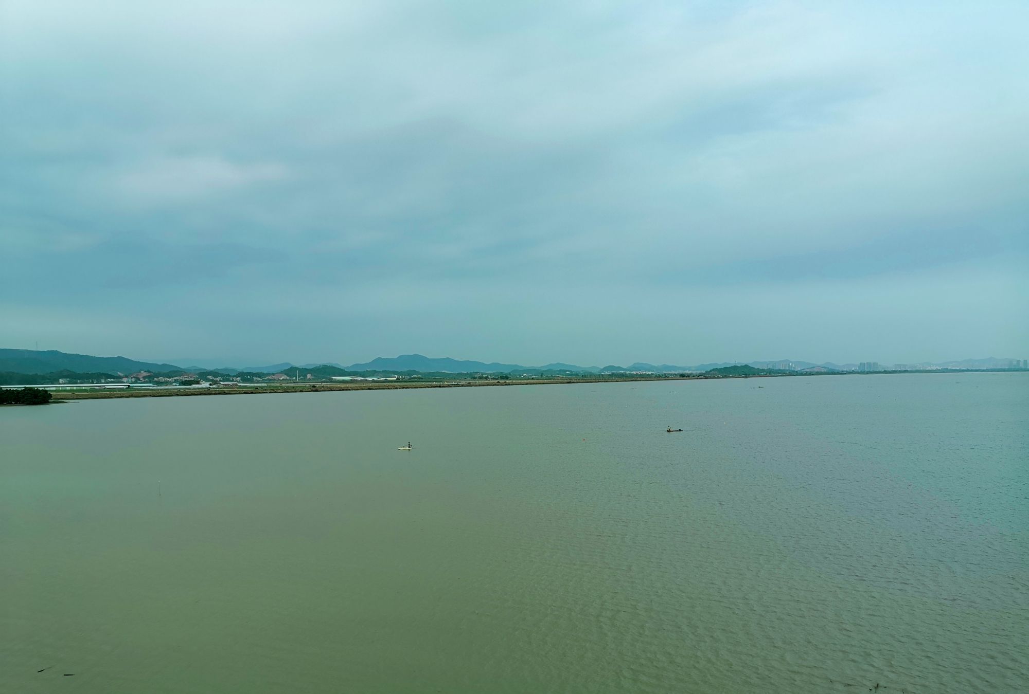 潼湖生态湿地实拍,这里可是候鸟迁徙停歇地和栖息地
