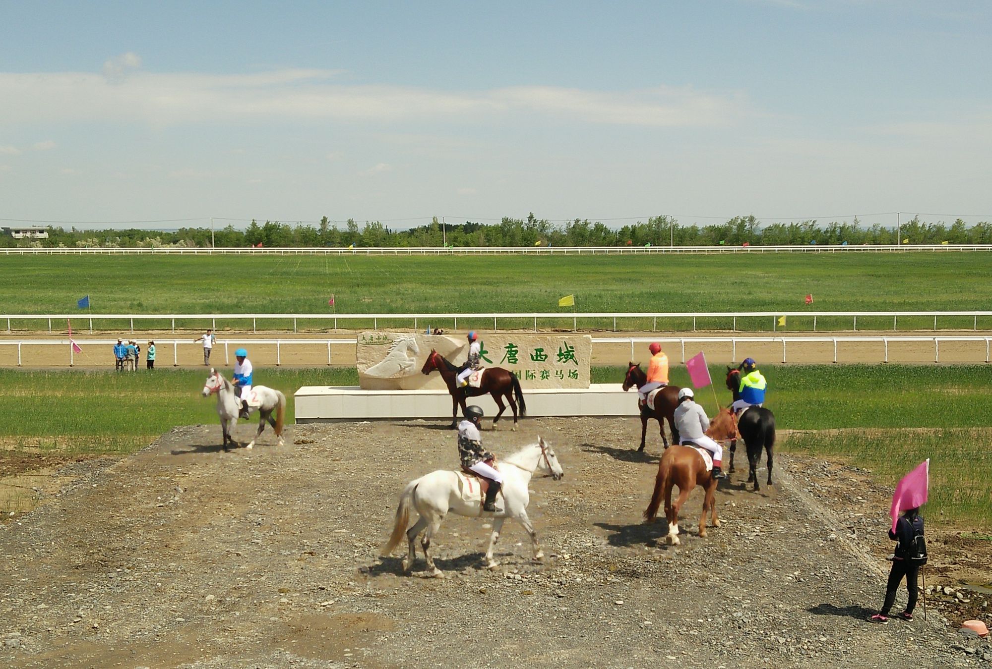 来新疆大唐西域酒庄,观名贵汗血宝马和萌萌的草泥马,品葡萄美酒