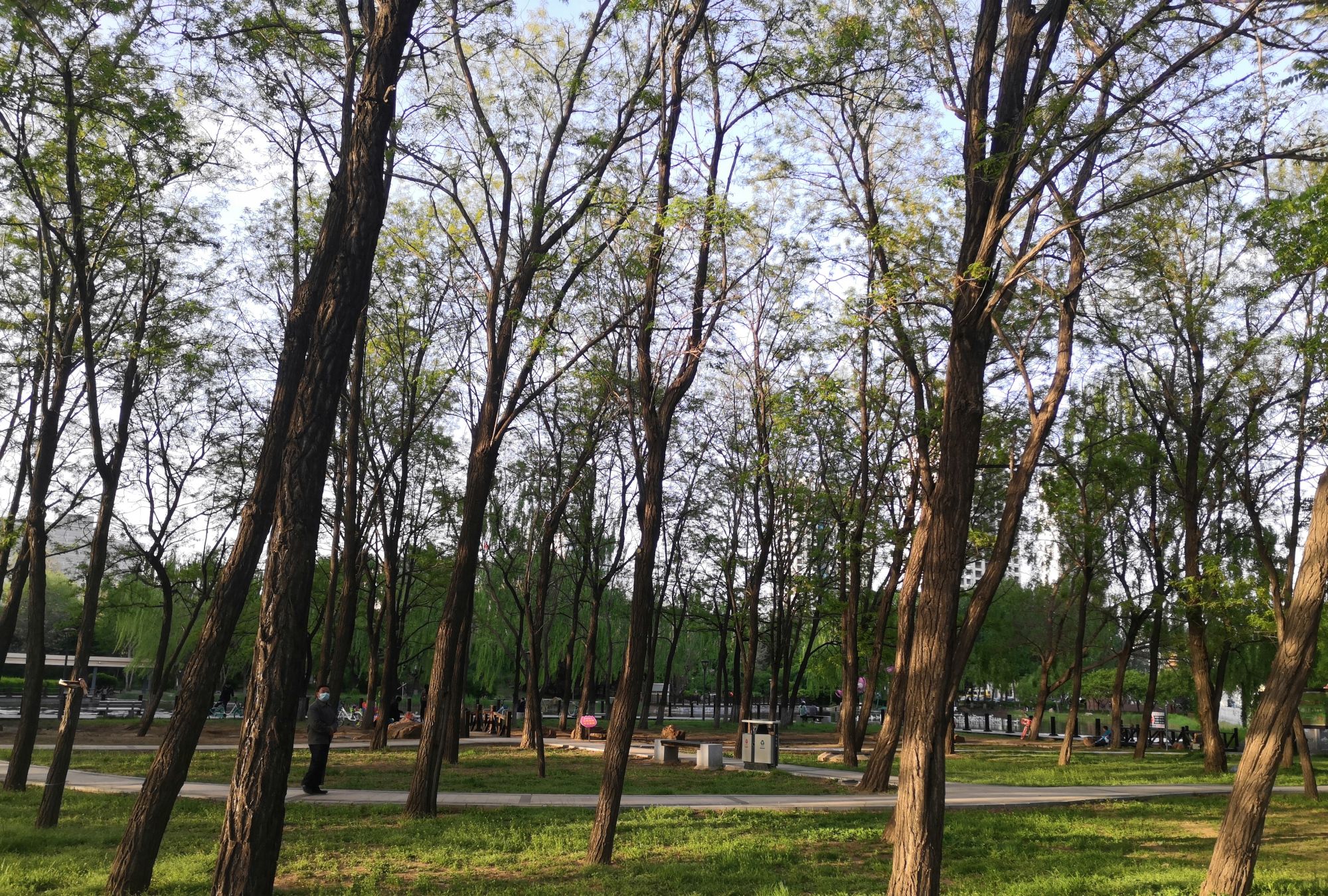 沈阳科普公园美景