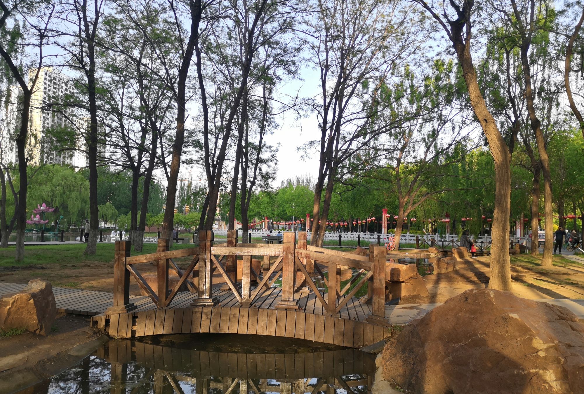 沈阳科普公园美景