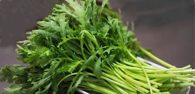 茼蒿菜这样做好吃又鲜嫩营养可口又养肝春天要多吃