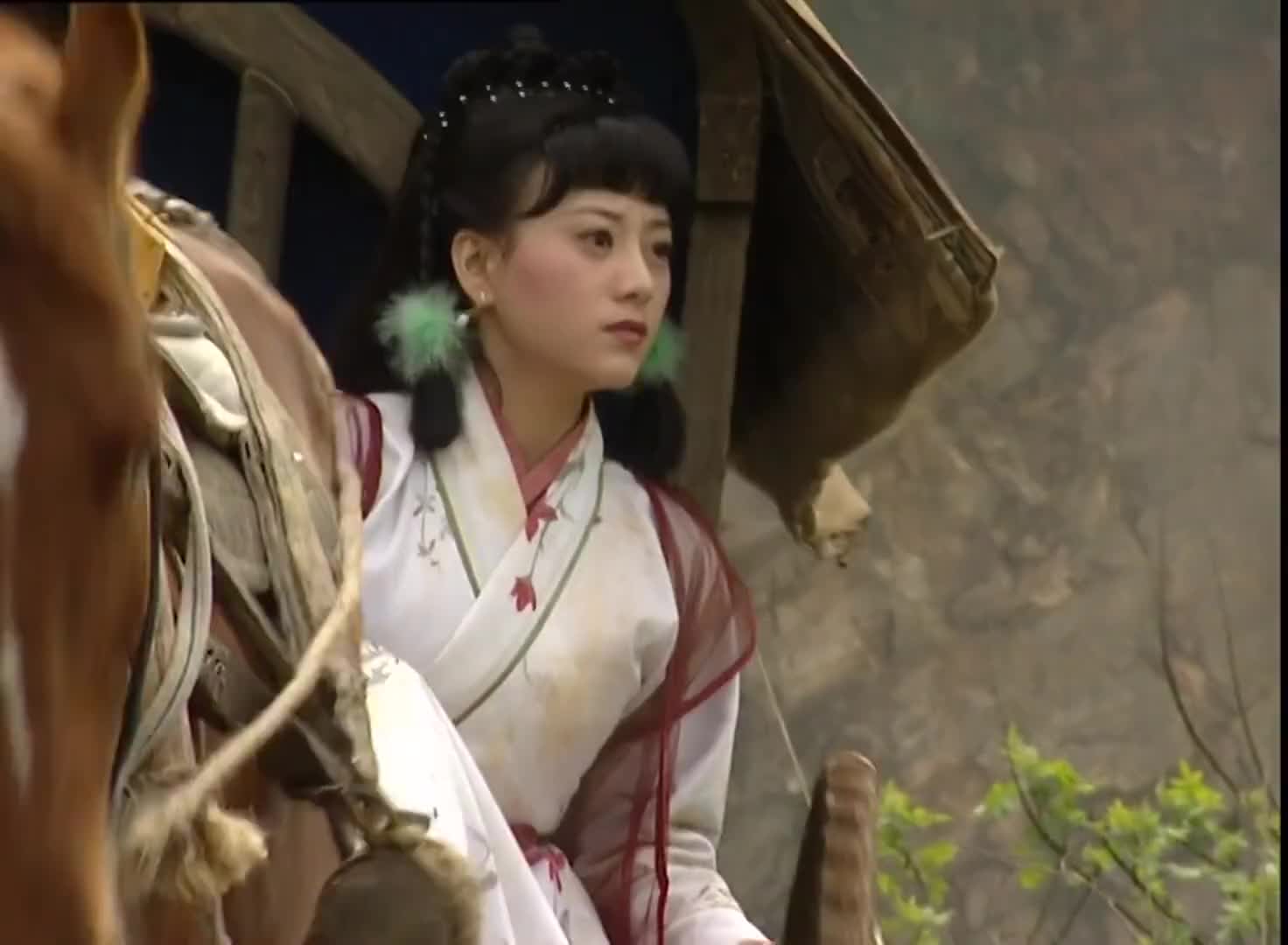 笑傲江湖岳灵珊带仪琳逃命迷茫之际发现世外高人留下的酒葫芦