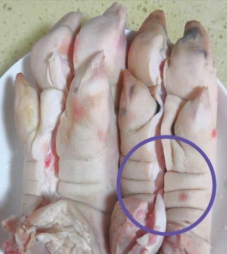 买猪蹄时要分清前蹄和后蹄差别很大弄懂少花冤枉钱